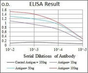 BT LAB manufacturer product image