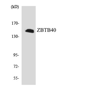 BT LAB manufacturer product image