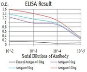 BT LAB manufacturer product image