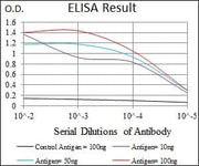BT LAB manufacturer product image