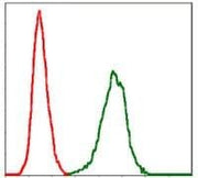 BT LAB manufacturer product image