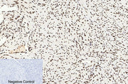 BT LAB manufacturer product image