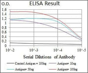 BT LAB manufacturer product image