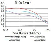 BT LAB manufacturer product image