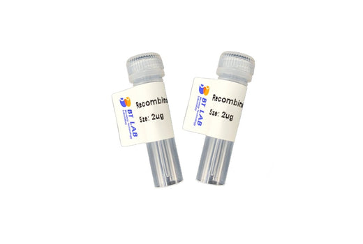BT LAB recombinant protein packaging — manufacturer reference image