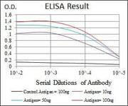 BT LAB manufacturer product image
