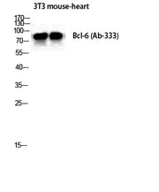 BT LAB manufacturer product image