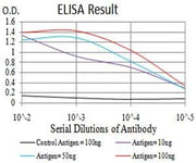 BT LAB manufacturer product image