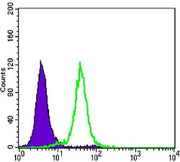 BT LAB manufacturer product image