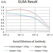 BT LAB manufacturer product image