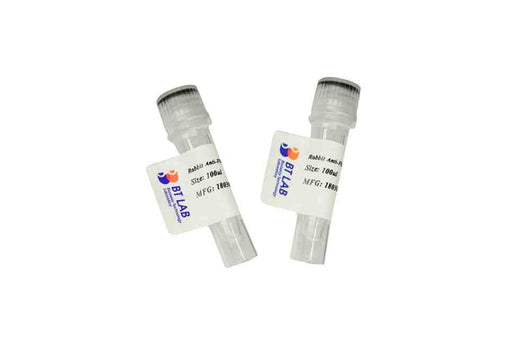 CO3 Polyclonal Antibody