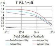 BT LAB manufacturer product image