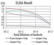 BT LAB manufacturer product image