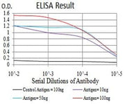 BT LAB manufacturer product image