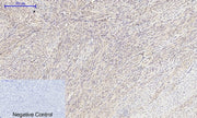 BT LAB manufacturer product image