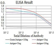 BT LAB manufacturer product image
