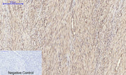 BT LAB manufacturer product image
