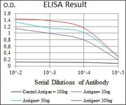 BT LAB manufacturer product image