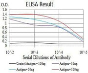 BT LAB manufacturer product image