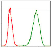 BT LAB manufacturer product image