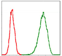 BT LAB manufacturer product image