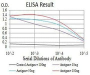 BT LAB manufacturer product image