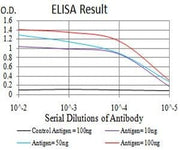 BT LAB manufacturer product image