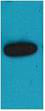 BT LAB manufacturer product image