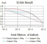 BT LAB manufacturer product image
