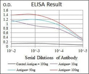 BT LAB manufacturer product image