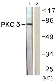 BT LAB manufacturer product image