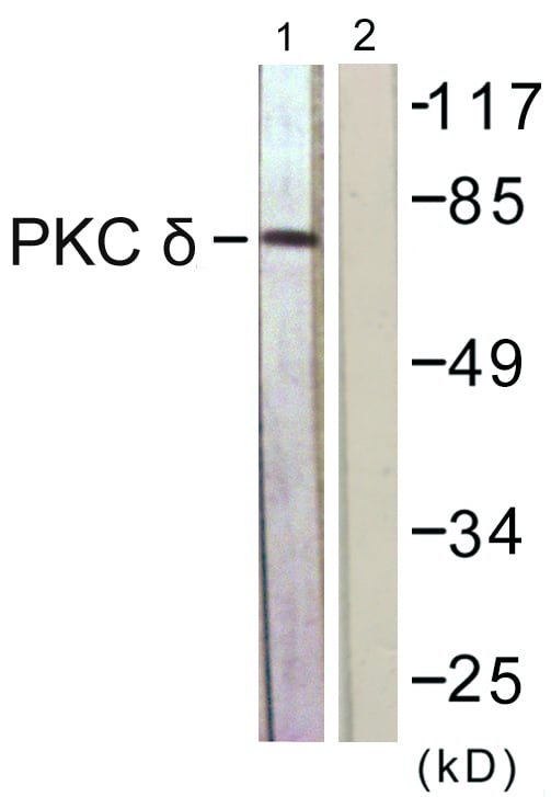 BT LAB manufacturer product image