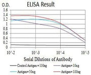 BT LAB manufacturer product image