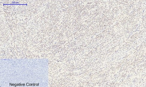 BT LAB manufacturer product image