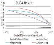 BT LAB manufacturer product image