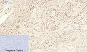 BT LAB manufacturer product image