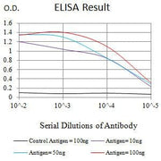 BT LAB manufacturer product image