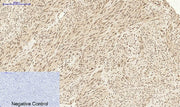 BT LAB manufacturer product image