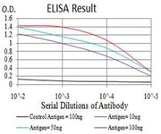BT LAB manufacturer product image