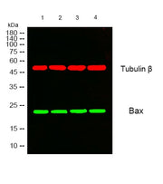 BT LAB manufacturer product image