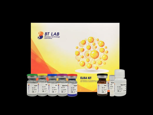 BT LAB manufacturer product image