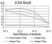 BT LAB manufacturer product image