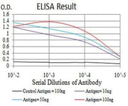 BT LAB manufacturer product image