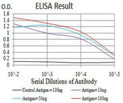 BT LAB manufacturer product image