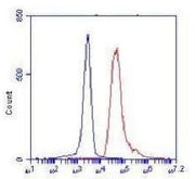 BT LAB manufacturer product image