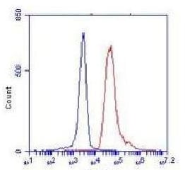 BT LAB manufacturer product image