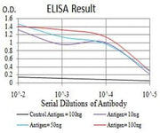 BT LAB manufacturer product image