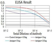 BT LAB manufacturer product image
