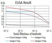 BT LAB manufacturer product image