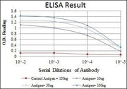BT LAB manufacturer product image